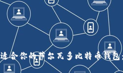 如何选择适合你的萨尔瓦多比特币钱包：全面指南