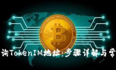 如何快速查询TokenIM地址：