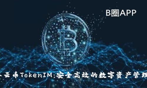 2023年云币TokenIM：安全高效的数字资产管理新选择