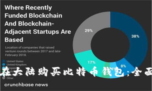 如何在大陆购买比特币钱包：全面指南