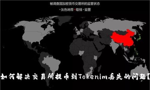 如何解决交易所提币到Tokenim丢失的问题？