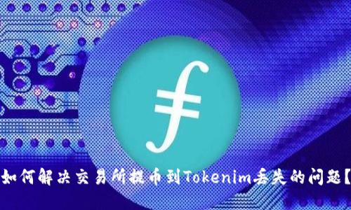 如何解决交易所提币到Tokenim丢失的问题？