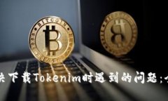 如何解决下载Tokenim时遇到
