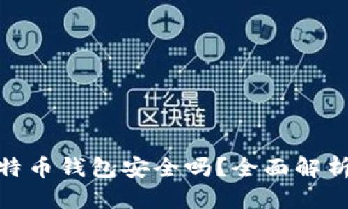 安卓上的比特币钱包安全吗？全面解析及安全措施
