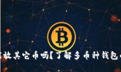 比特币钱包能放其它币吗