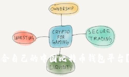 如何选择适合自己的中国比特币钱包平台？全方位解析