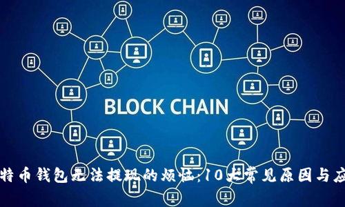 解决比特币钱包无法提现的烦恼：10大常见原因与应对策略