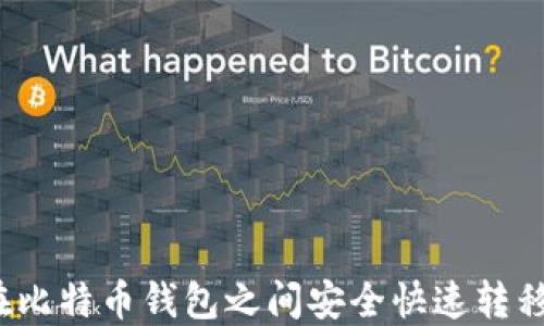 
如何在比特币钱包之间安全快速转移资金？