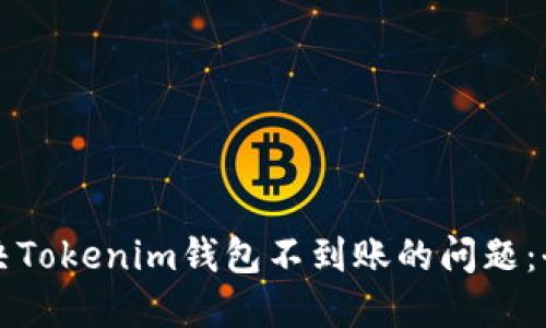 如何解决Tokenim钱包不到账的问题：全面指南