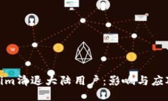 Tokenim清退大陆用户：影响