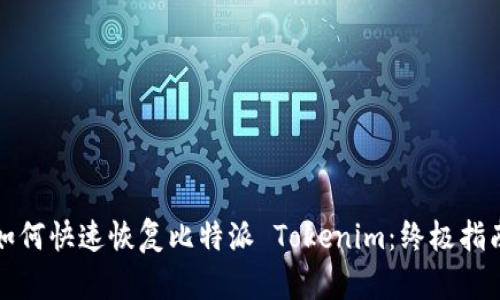 如何快速恢复比特派 Tokenim：终极指南