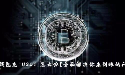 TP钱包充 USDT 怎么办？全面解决你未到账的问题