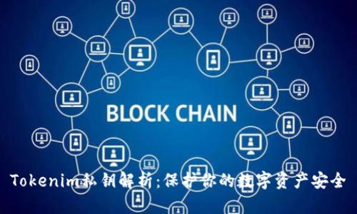 Tokenim私钥解析：保护你的数字资产安全