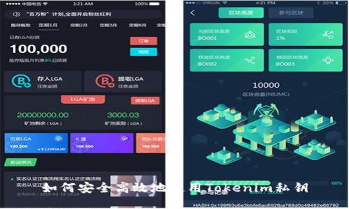 如何安全高效地使用Tokenim私钥