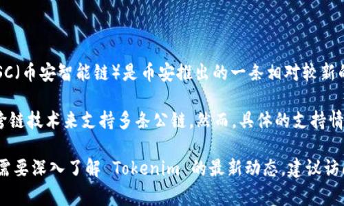 Tokenim 是一种基于以太坊的去中心化金融 (DeFi) 平台，因此，它的主要支持链是以太坊。BSC（币安智能链）是币安推出的一条相对较新的公链，旨在提供更快的交易和更低的费用。

尽管 Tokenim 主要集中在以太坊上，这并不意味着它完全不支持 BSC。有些项目可能会通过跨链技术来支持多条公链。然而，具体的支持情况还需查看 Tokenim 官方的更新或公告，以了解它是否已经开展在 BSC 上的生态系统建设。

总的来说，在选择使用 Tokenim 或其他 DeFi 平台时，了解其支持的区块链非常重要。如果你需要深入了解 Tokenim 的最新动态，建议访问他们的官方网站或社交媒体渠道。