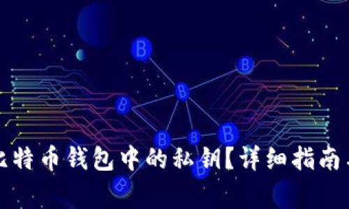 如何查看比特币钱包中的私钥？详细指南与注意事项