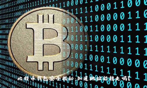 比特币钱包安全揭秘：知道地址能转走吗？