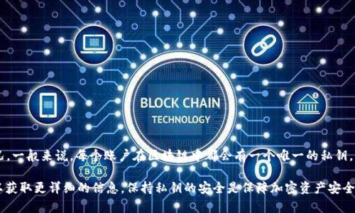 Tokenim 是一种区块链技术或加密货币，具体的私钥数量取决于用户的账户数量和使用情况。一般来说，每个账户在区块链中都会有一个唯一的私钥，用于保护其资产和进行交易。因此，如果某个用户有多个账户，每个账户会有一个独立的私钥。

如果你对 Tokenim 的私钥管理或安全性有具体的疑问，建议参考其官方文档或社区指南，以获取更详细的信息。保持私钥的安全是保障加密资产安全的关键。