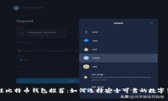 苹果手机最佳比特币钱包