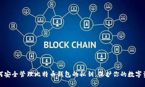 如何安全管理比特币钱包的私钥，保护你的数字资产