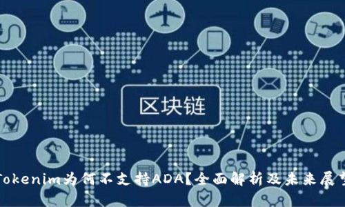 Tokenim为何不支持ADA？全面解析及未来展望