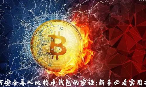 
如何安全导入比特币钱包的密语：新手必看实用指南