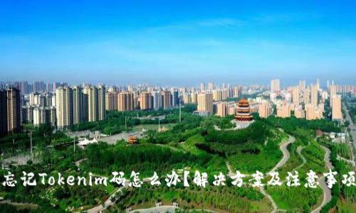 忘记Tokenim码怎么办？解决方案及注意事项