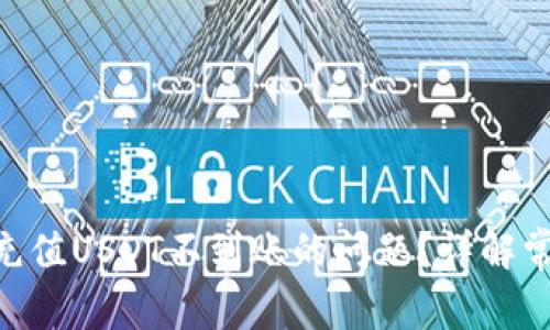 如何解决Tokenim充值USDT不到账的问题？详解常见原因及解决方案