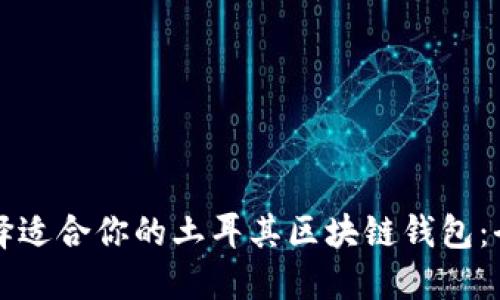 如何选择适合你的土耳其区块链钱包：全面指南