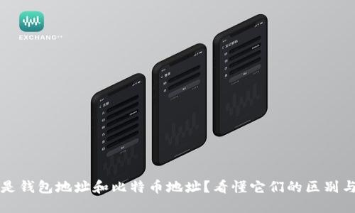 什么是钱包地址和比特币地址？看懂它们的区别与联系