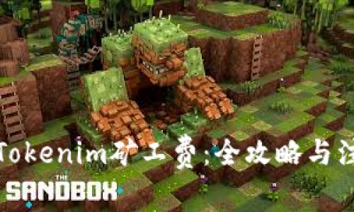 轻松充Tokenim矿工费：全攻略与注意事项
