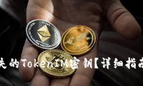 如何找回遗失的TokenIM密钥？详细指南与解决方案