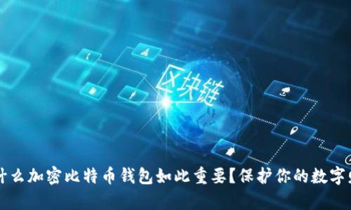 为什么加密比特币钱包如此重要？保护你的数字财富