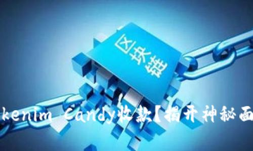 如何成功让Tokenim Candy收款？揭开神秘面纱的实用指南
