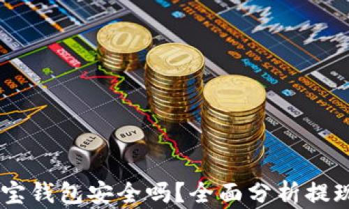 
USDT提现到购宝钱包安全吗？全面分析提现风险与安全性
