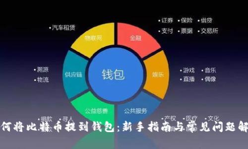 如何将比特币提到钱包：新手指南与常见问题解答