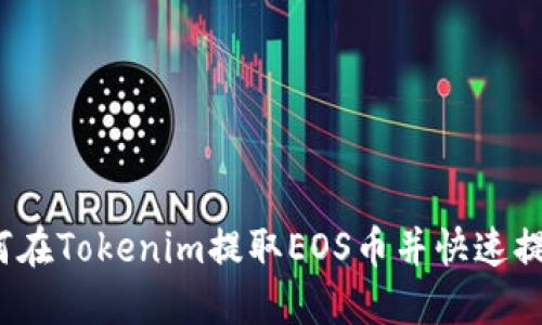 如何在Tokenim提取EOS币并快速提现？