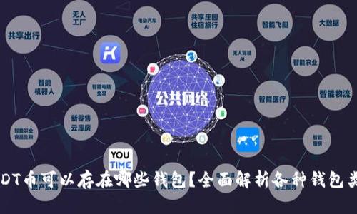 USDT币可以存在哪些钱包？全面解析各种钱包类型