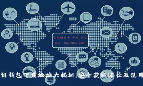 区块链钱包下载地址大揭秘：安全获取途径及使用指南