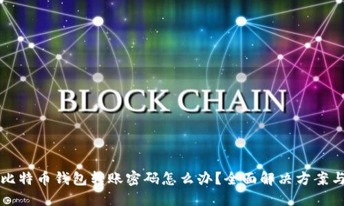 忘记比特币钱包转账密码怎么办？全面解决方案与技巧
