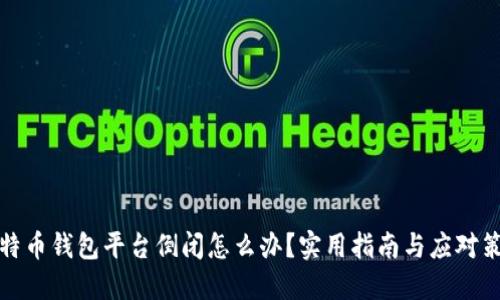 比特币钱包平台倒闭怎么办？实用指南与应对策略