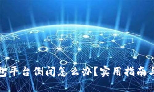 比特币钱包平台倒闭怎么办？实用指南与应对策略