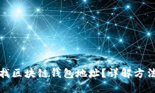 如何快速查找区块链钱包地址？详解方法与实用技巧