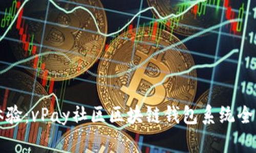 提升电商体验：vPay社区区块链钱包系统全新升级解析