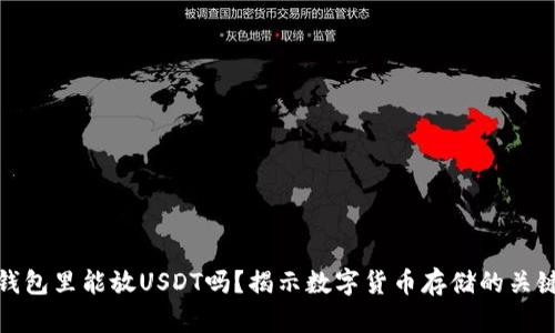 钱包里能放USDT吗？揭示数字货币存储的关键