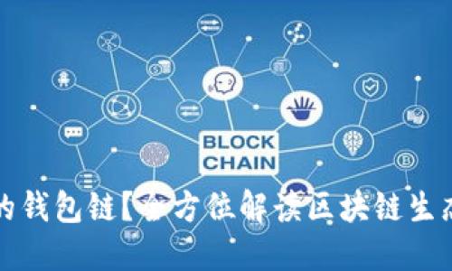 如何选择最适合你的钱包链？全方位解读区块链生态中的钱包选用指南