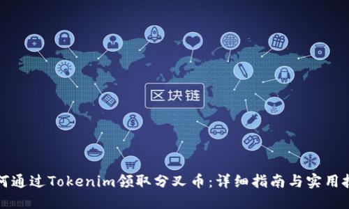 如何通过Tokenim领取分叉币：详细指南与实用技巧
