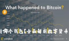 USDT支持哪个钱包？全面解