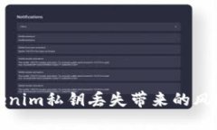 如何应对tokenim私钥丢失带