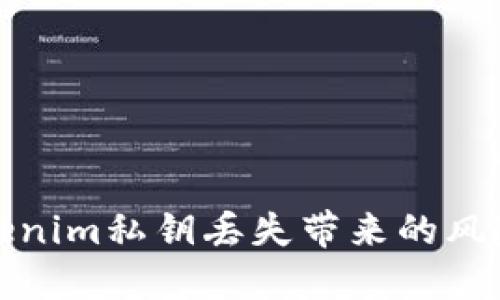 如何应对tokenim私钥丢失带来的风险与解决方案